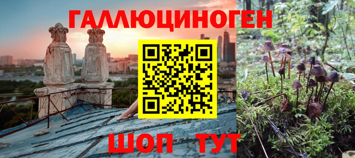 Конаково  Псилоцибиновые грибы Magic Shrooms  Вход с VPN  Псилоцибиновые грибы Psilocybine cubensis 